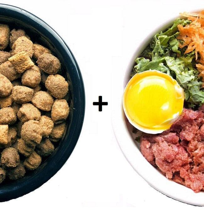 5 ΑΛΗΘΙΝΕΣ ΤΡΟΦΕΣ ΓΙΑ ΒΕΛΤΙΩΣΗ ΤΗΣ ΞΗΡΑΣ ΤΡΟΦΗΣ ΤΟΥ ΣΚΥΛΟΥ ΣΑΣ!