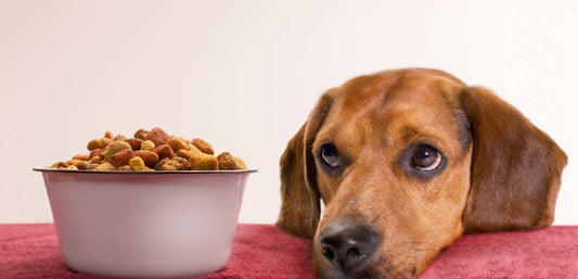 ΠΩΣ Η ΕΞΩΘΗΣΗ ΕΠΗΡΕΑΖΕΙ ΤΑ ΦΡΕΣΚΑ ΘΡΕΠΤΙΚΑ ΣΥΣΤΑΤΙΚΑ ΣΤΙΣ ΞΗΡΕΣ ΤΡΟΦΕΣ