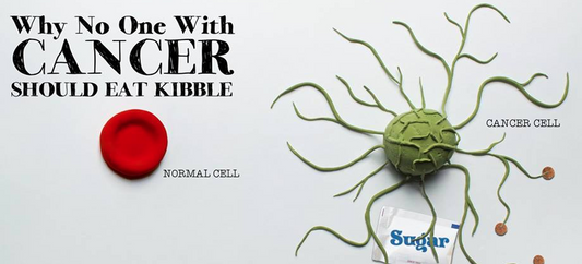 ΞΗΡΕΣ ΤΡΟΦΕΣ ΚΑΙ ΚΑΡΚΙΝΟΣ ΣΚΥΛΟΥ, ΠΩΣ ΣΥΝΔΕΟΝΤΑΙ!