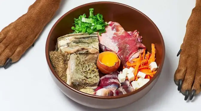 BARF ΤΡΟΦΕΣ! ΣΠΙΤΙΚΕΣ Η ΕΤΟΙΜΕΣ?