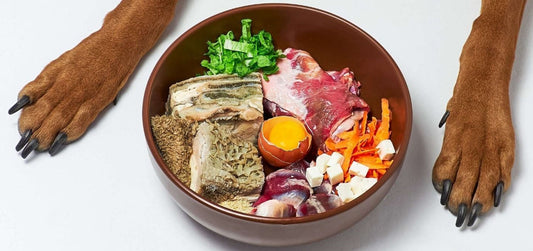 12 ΣΥΧΝΑ ΛΑΘΗ BARF ΔΙΑΤΡΟΦΗΣ!