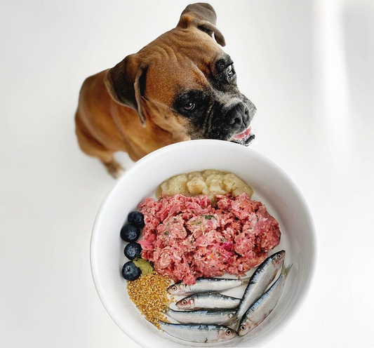 Barf τροφές, ποιες είναι οι καλύτερες? Ο πληρέστερος οδηγός!