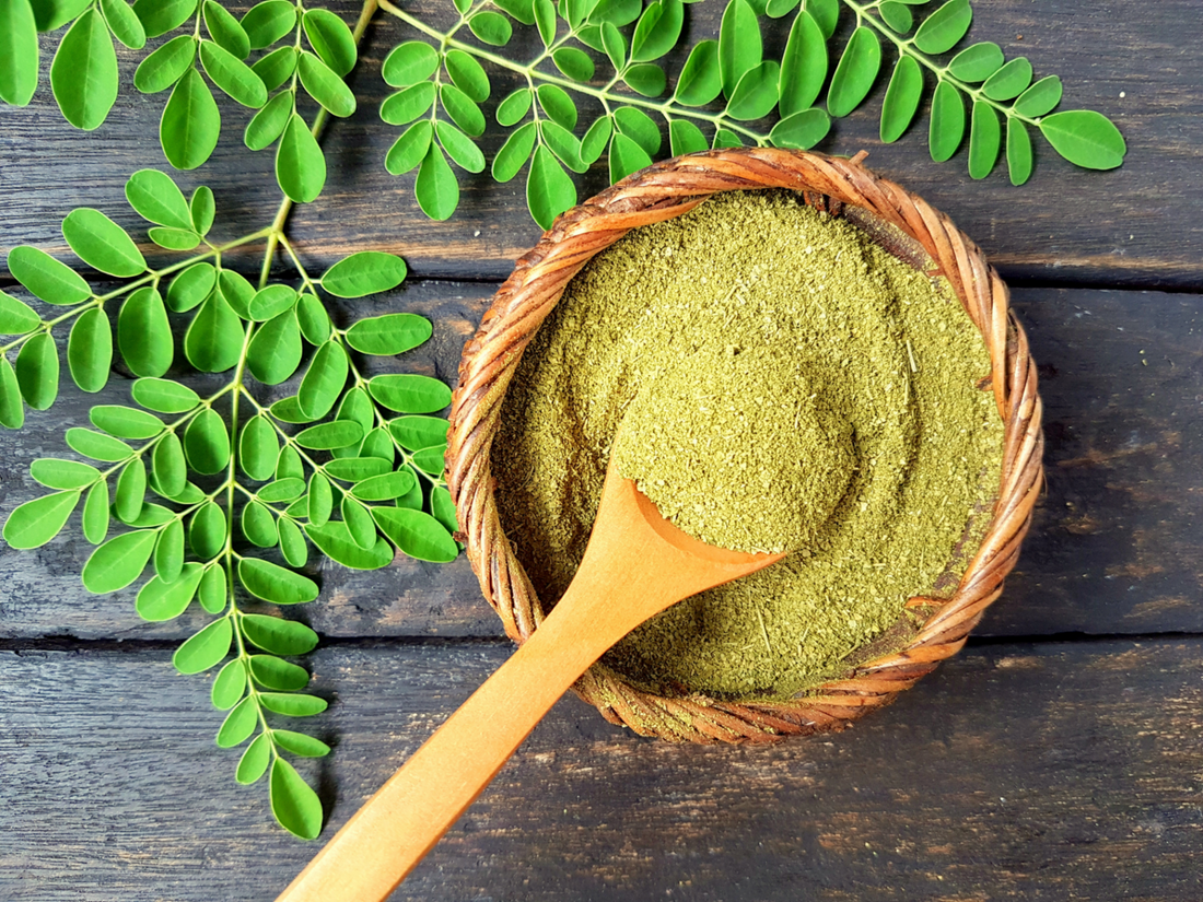 MORINGA! ΕΝΑ ΑΠΙΘΑΝΟ ΣΥΜΠΛΗΡΩΜΑ ΔΙΑΤΡΟΦΗΣ ΓΙΑ ΣΚΥΛΟΥΣ!
