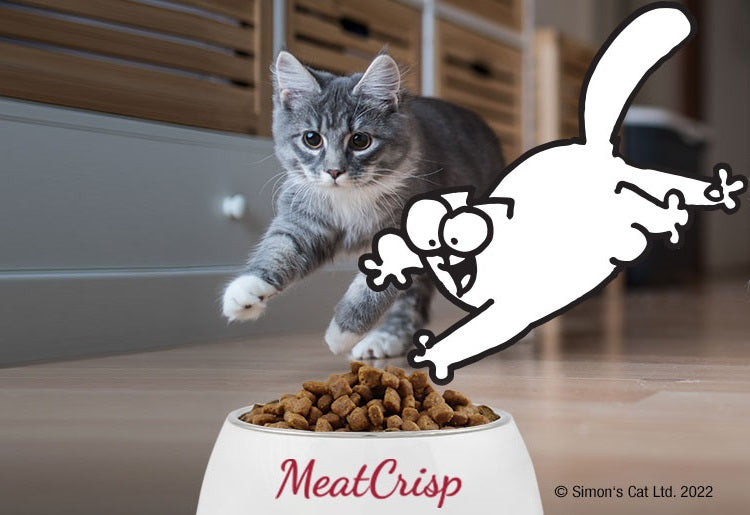 ΠΩΣ ΠΑΡΑΣΚΕΥΑΖΟΝΤΑΙ ΟΙ ΠΙΟ ΝΟΣΤΙΜΕΣ ΚΑΙ ΘΡΕΠΤΙΚΕΣ ΤΡΟΦΕΣ ΓΑΤΑΣ ΤΗΣ ΑΓΟΡΑΣ PLATINUM MEATCRISP