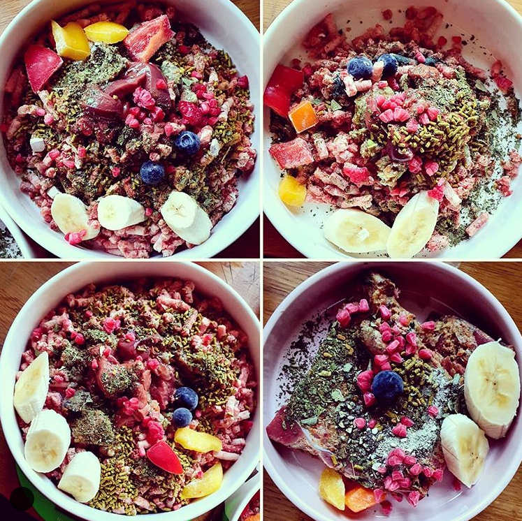 ΣΠΙΤΙΚΕΣ ΩΜΕΣ BARF ΤΡΟΦΕΣ ΣΚΥΛΟΥ ΚΑΙ ΕΧΕΤΕ ΤΟΝ ΑΠΟΛΥΤΟ ΕΛΕΓΧΟ!