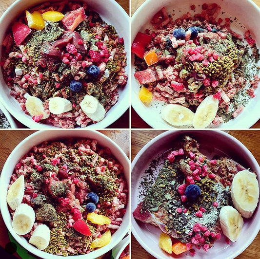 ΣΠΙΤΙΚΕΣ ΩΜΕΣ BARF ΤΡΟΦΕΣ ΣΚΥΛΟΥ ΚΑΙ ΕΧΕΤΕ ΤΟΝ ΑΠΟΛΥΤΟ ΕΛΕΓΧΟ!