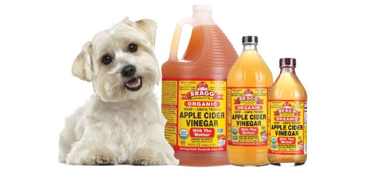 ΜΗΛΟΞΥΔΟ ΓΙΑ ΣΚΥΛΟΥΣ! ΟΦΕΛΗ ΓΙΑ ΤΗΝ ΥΓΕΙΑ ΚΑΙ ΔΟΣΟΛΟΓΙΑ!