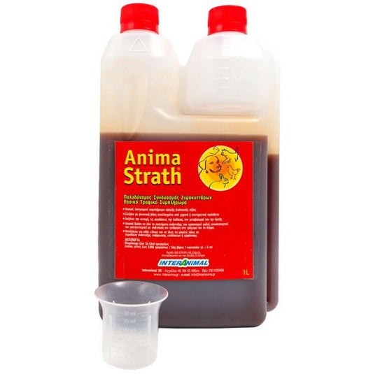 Anima Strath 100% Φυσικό Πολυβιταμινούχο Διατροφικό Συμπλήρωμα σε Σιρόπι 1lt