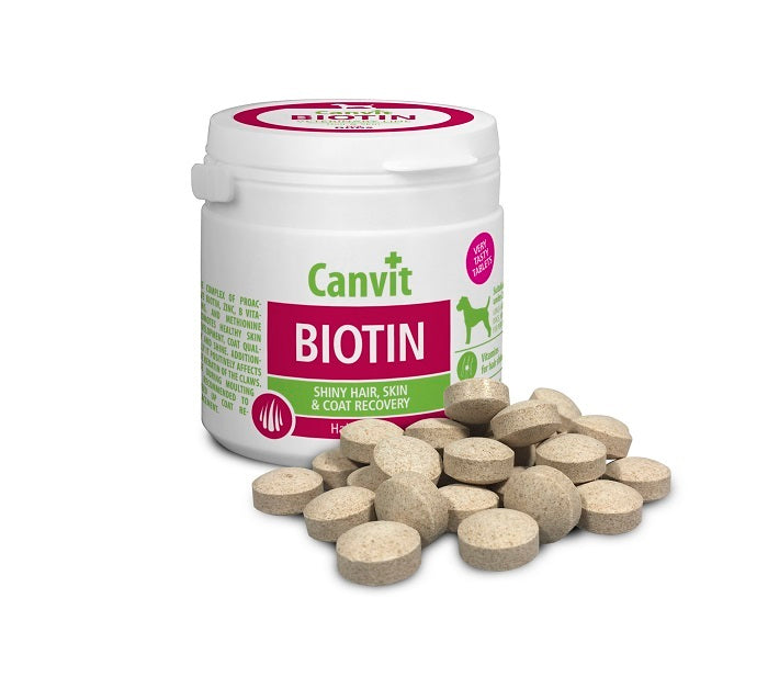 Canvit Biotin Συμπλήρωμα Διατροφής για Τρίχωμα, Δέρμα Σκύλου 230γρ