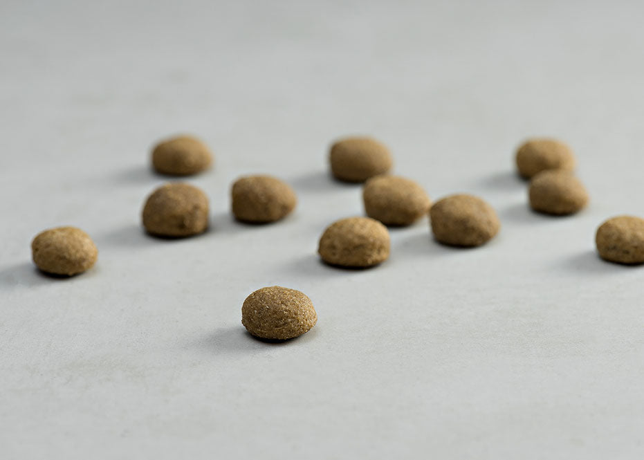 Prins Procare Croque Mobility Κλινική Ξηρά Τροφή Σκύλου 10kg