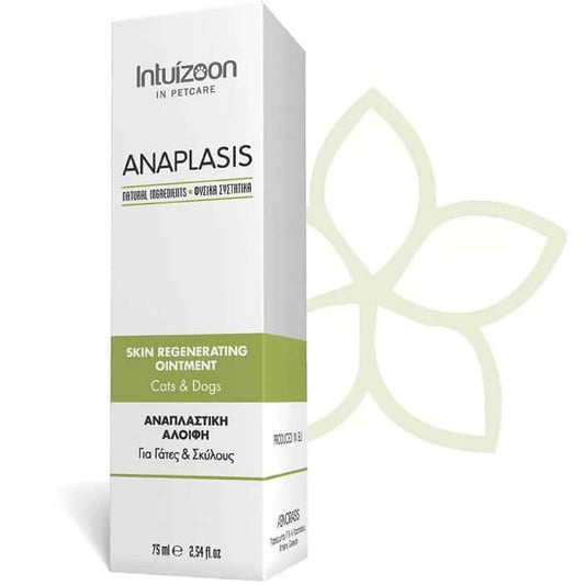 Intuizoon Anaplasis Αναπλαστική Αλοιφή για Σκύλους και Γάτες 75ml