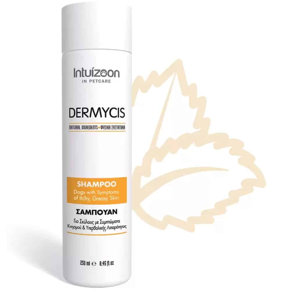 Intuizoon Dermycis Υποαλλεργικό Σαμπουάν Σκύλου με Φαγούρα, Λιπαρό Δέρμα 250ml