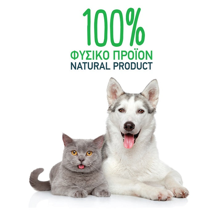 Madpet Plaque Attack συμπλήρωμα σκύλου, γάτας για οδοντική πέτρα, κακοσμία σε σκόνη 80γρ