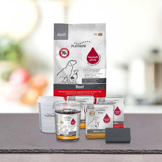 PLATINUM Απολαυστικό Πακέτο Γνωριμίας Ενήλικου Σκύλου