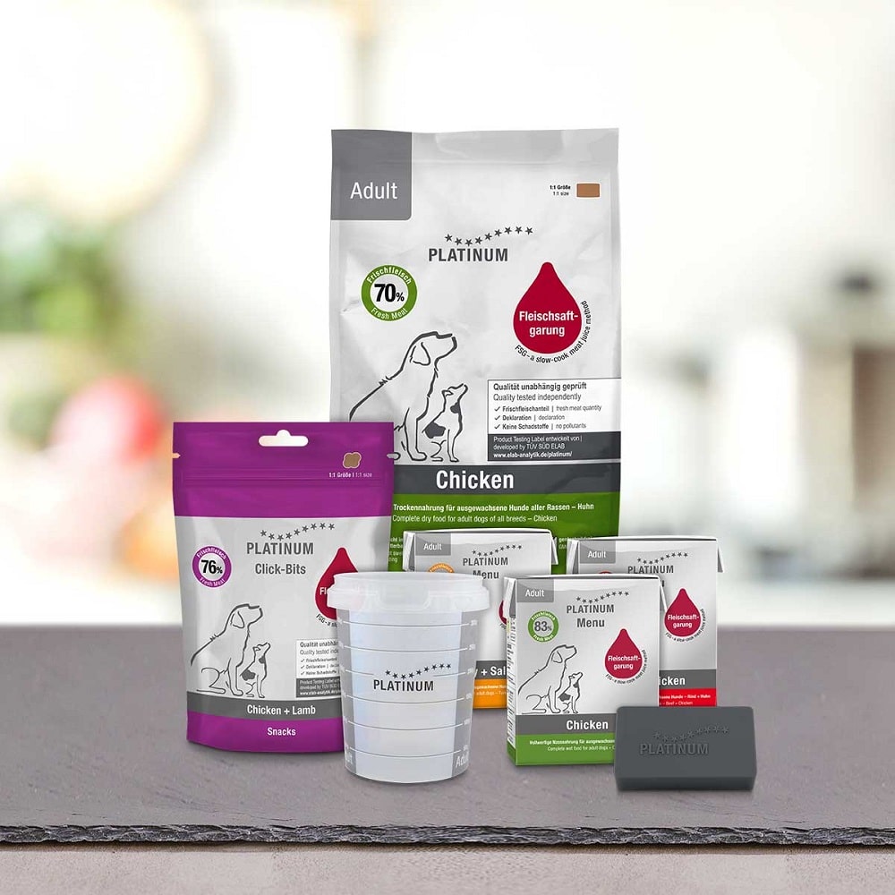 PLATINUM Δημοφιλές Πακέτο Γνωριμίας Ενήλικου Σκύλου