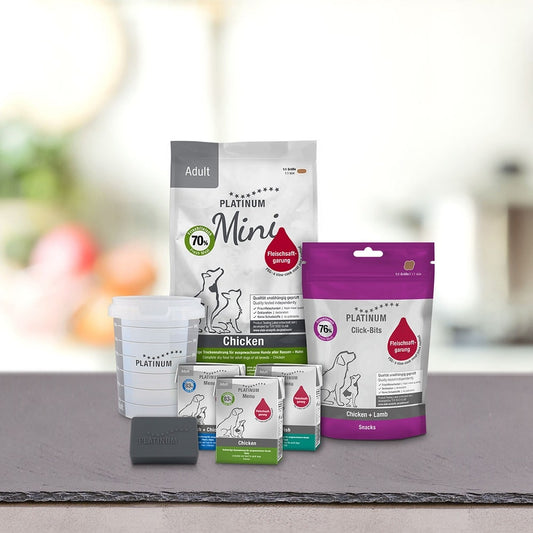 PLATINUM Δημοφιλές Πακέτο Γνωριμίας Ενήλικου Μικρόσωμου Σκύλου