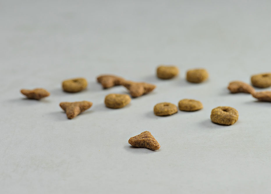 Prins Fit Selection Mix Ξηρά Τροφή Ενήλικης Γάτας 10kg