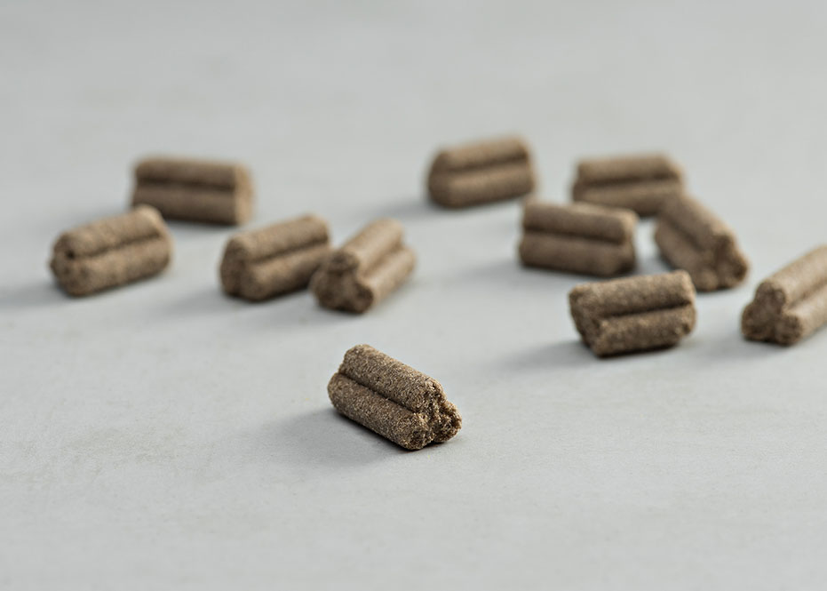 Prins Procare Grain Free Senior Fit Ψυχρής Έκθλιψης Ξηρά Τροφή Σκύλου 12kg