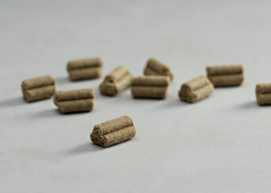 Prins Procare Grain Free Sensible Ψυχρής Έκθλιψης Ξηρά Τροφή Σκύλου 3kg