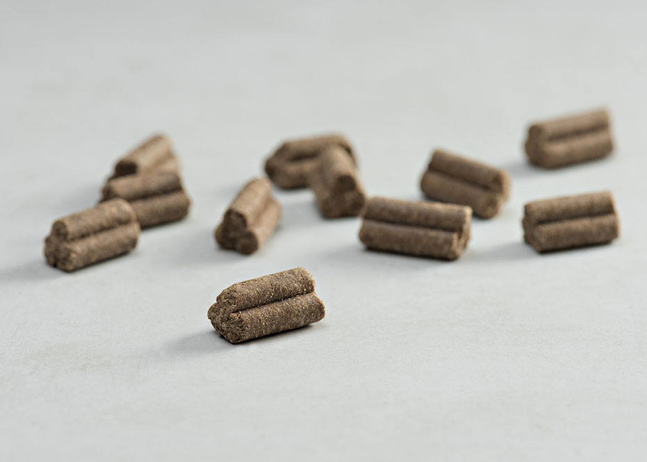 Prins Procare Grain Free Skin Coat Ψυχρής Έκθλιψης Ξηρά Τροφή Σκύλου 3kg