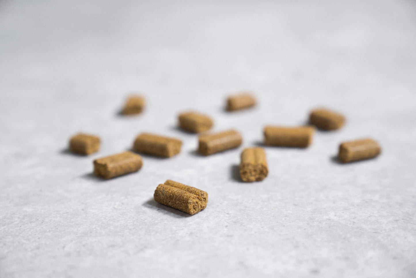 Prins Procare Adult Herring Υποαλλεργική Ψυχρής Έκθλιψης Ξηρά Τροφή Σκύλου 12kg