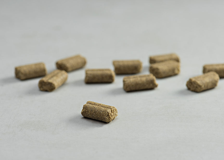 Prins Procare Adult Lamb Hypoallergic Ψυχρής Έκθλιψης Ξηρά Τροφή Σκύλου 15kg