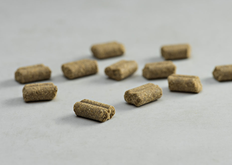 Prins Procare Lamb & Rice Senior Hypoallergenic Ψυχρής Έκθλιψης Ξηρά Τροφή Σκύλου 15kg