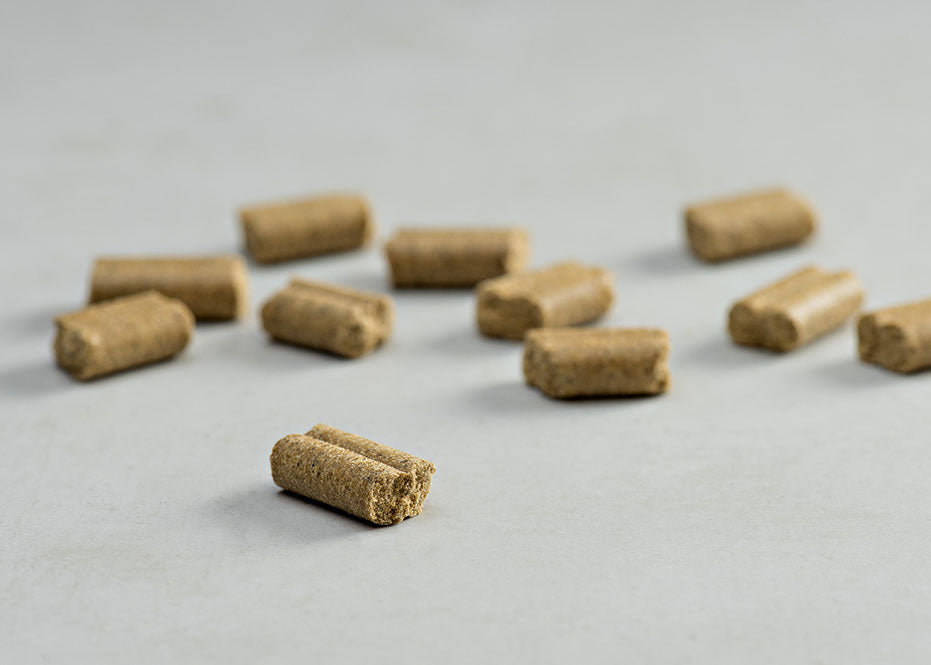 Prins Procare Low Calorie Light Ψυχρής Έκθλιψης Ξηρά Τροφή Σκύλου 3kg