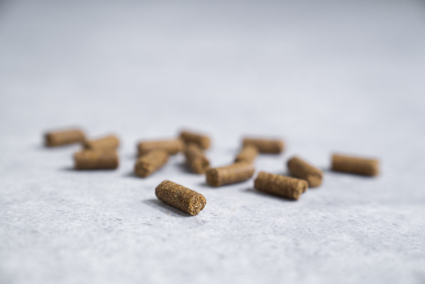 Prins Procare Mini Adult Herring Υποαλλ. Ψυχρής Έκθλιψης Ξηρά Τροφή Σκύλου 3kg