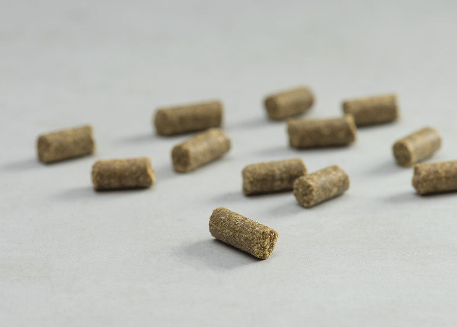 Prins Procare Mini Adult Lamb Υποαλλεργική Ψυχρής Έκθλιψης Ξηρά Τροφή Σκύλου 15kg