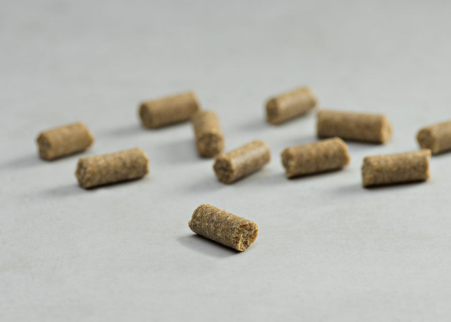 Prins Procare Mini Support Senior Ψυχρής Έκθλιψης Ξηρά Τροφή Σκύλου 7.5kg