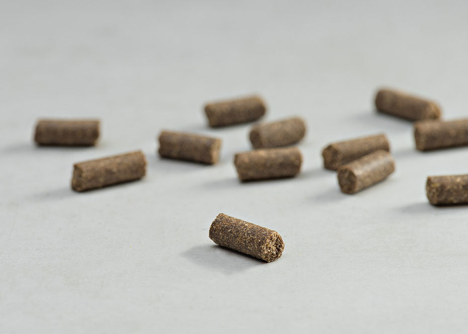 Prins Procare Mini Resist Calm Ψυχρής Έκθλιψης Ξηρά Τροφή Σκύλου 7.5kg