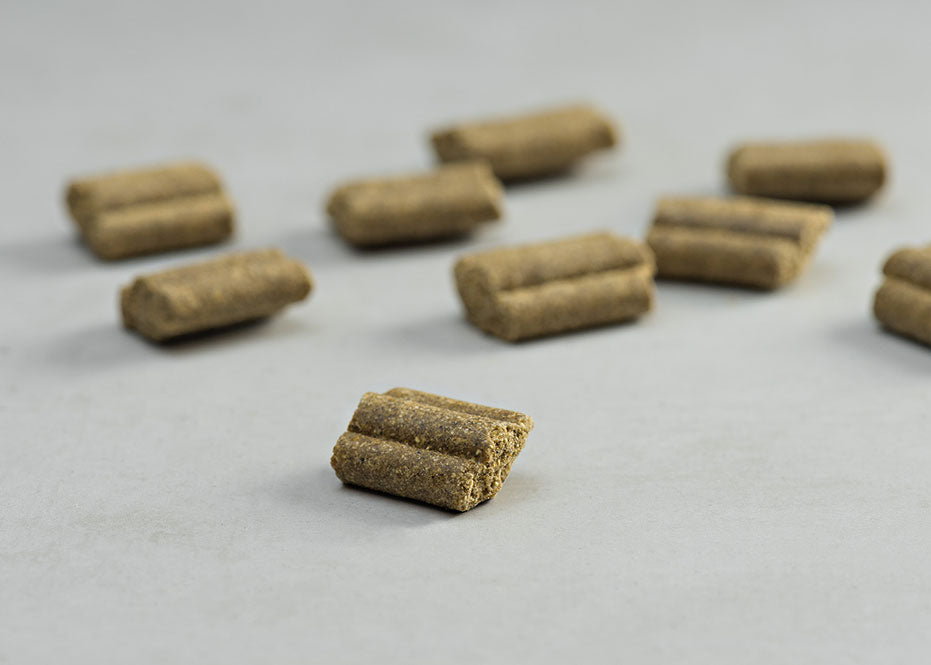 Prins Procare Protection Lamb Hypoallergic Ψυχρής Έκθλιψης Ξηρά Τροφή Σκύλου 20kg