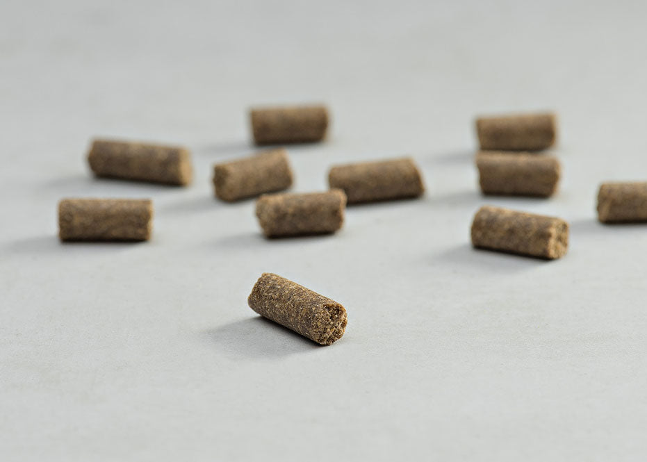 Prins Procare Puppy Protection Ψυχρής Έκθλιψης Ξηρά Τροφή για Κουτάβια 20kg