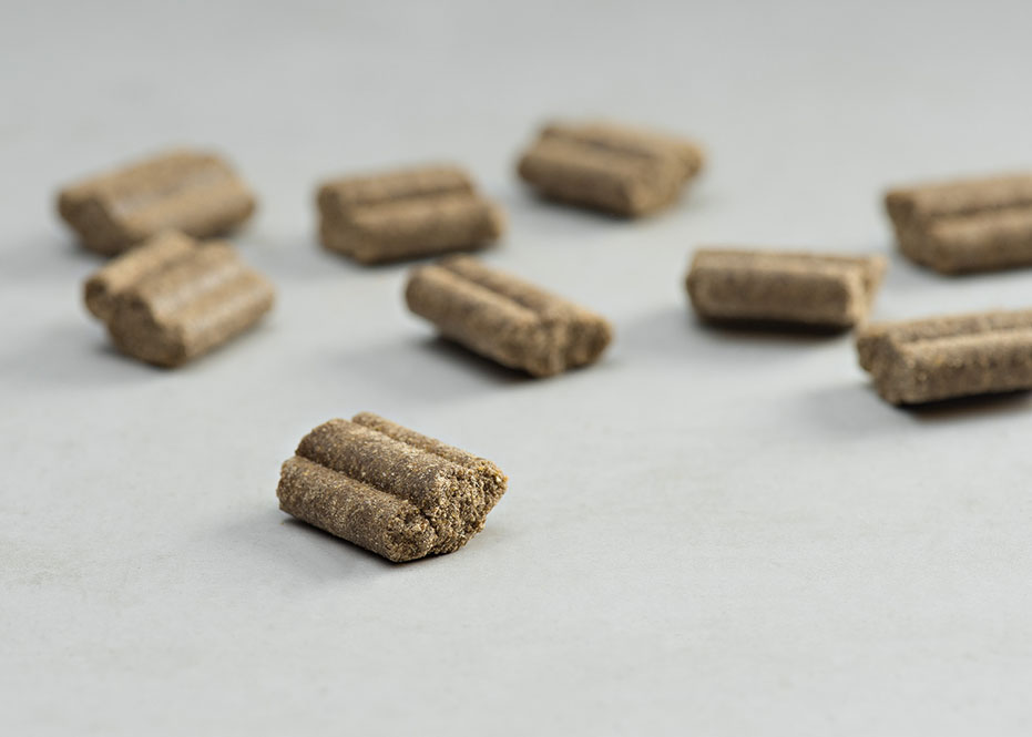 Prins Procare Protection Senior Fit Ψυχρής Έκθλιψης Ξηρά Τροφή Σκύλου 3kg