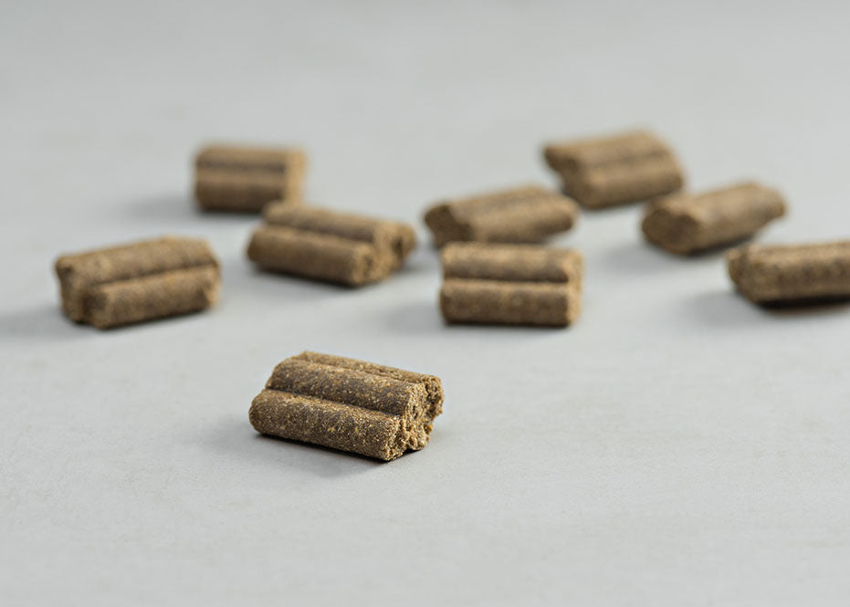 Prins Procare Super Active Protection Ψυχρής Έκθλιψης Ξηρά Τροφή Σκύλου 20kg