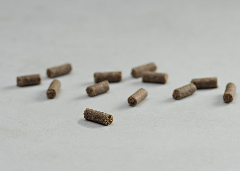 Prins Procare Grain Free Puppy Ψυχρής Έκθλιψης Ξηρά Τροφή για Κουτάβια 7.5kg