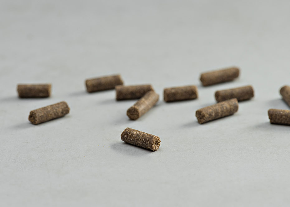 Prins Procare Mini Puppy Ψυχρής Έκθλιψης Ξηρά Τροφή Σκύλου 3kg