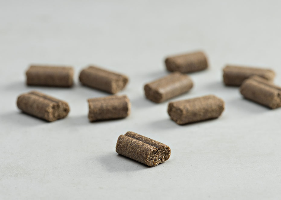 Prins Procare Resist Calm Ψυχρής Έκθλιψης Ξηρά Τροφή Σκύλου 3kg