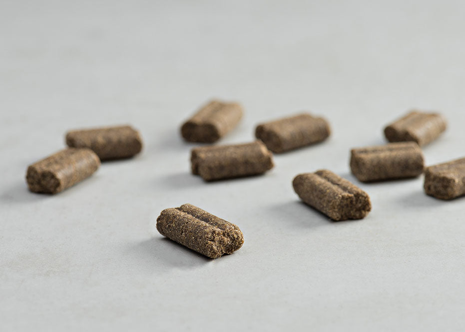 Prins Procare Sport-Life Excellent Ψυχρής Έκθλιψης Ξηρά Τροφή Σκύλου 15kg