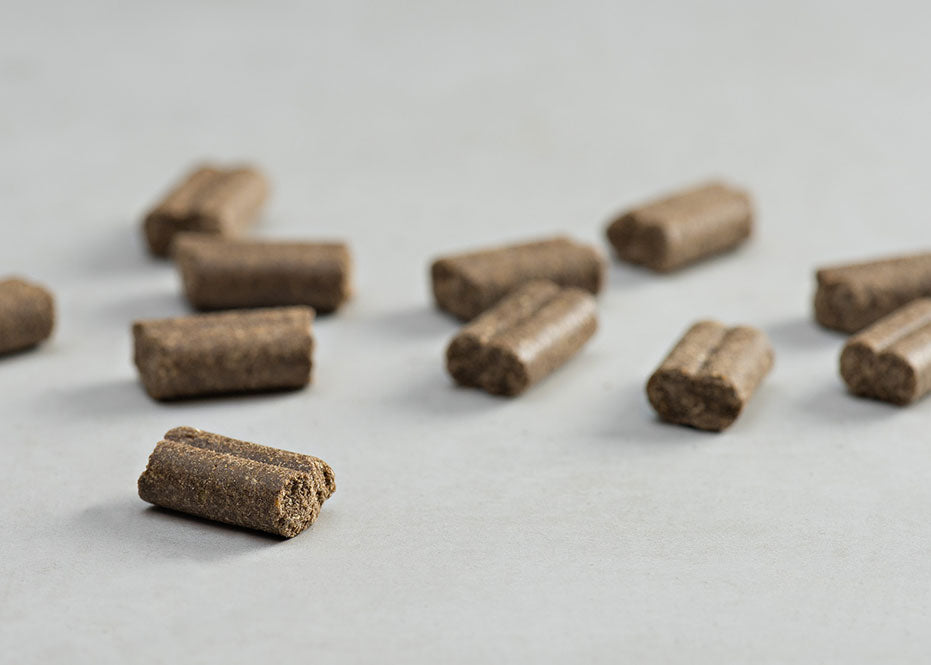 Prins Procare Standard Fit Ψυχρής Έκθλιψης Ξηρά Τροφή Σκύλου 20kg