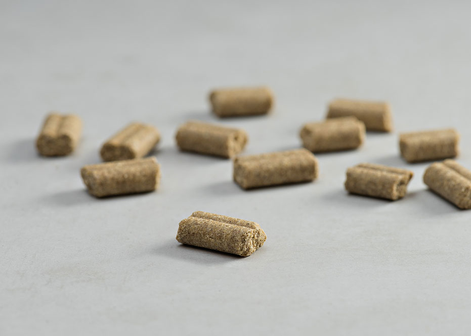 Prins Procare Senior Support Ψυχρής Έκθλιψης Ξηρά Τροφή Σκύλου 15kg