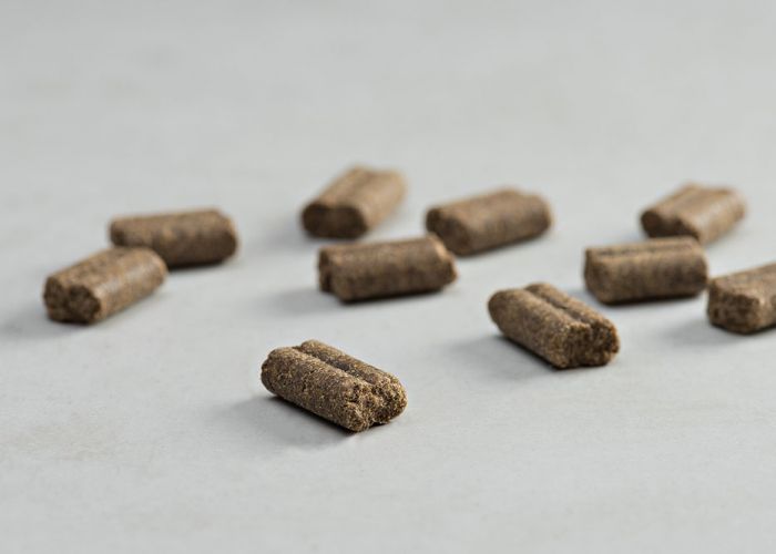 Prins Sportcare Racing & Sprint 26/17 Ψυχρής Έκθλιψης Ξηρά Τροφή Σκύλου 20kg