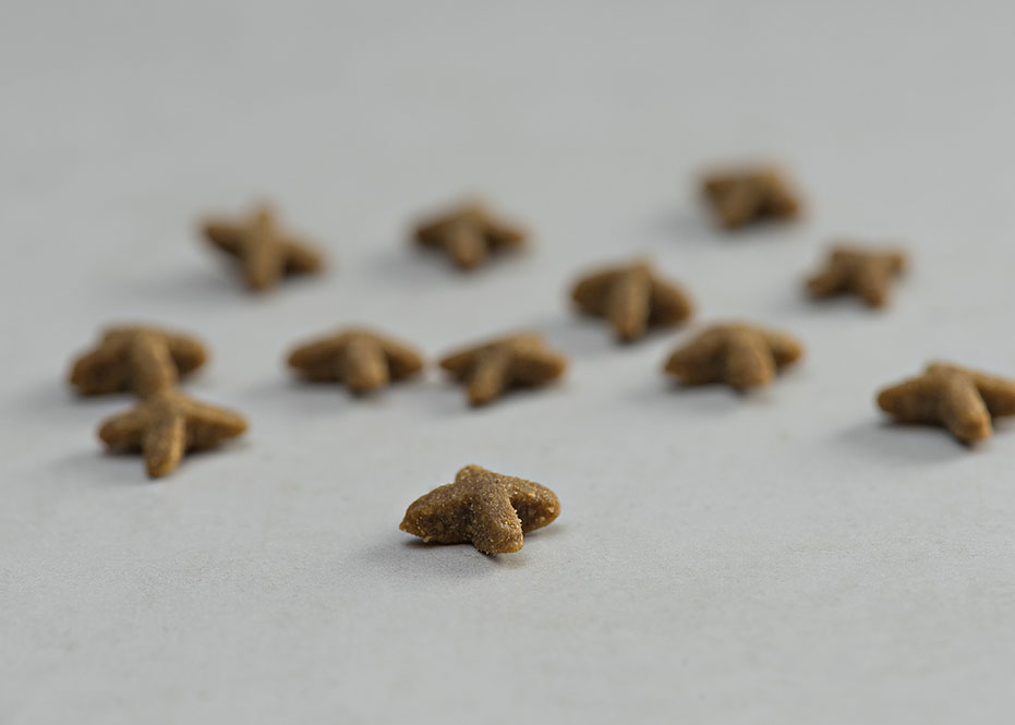 Prins Vitalcare Indoor Ξηρά Τροφή για Ενήλικες Γάτες 1.5kg