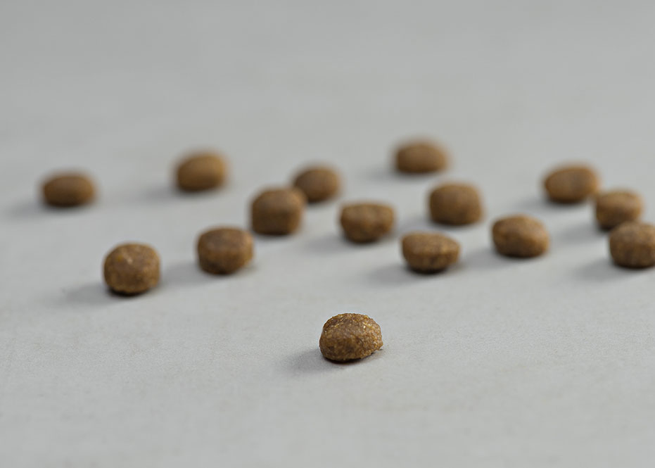 Prins Vitalcare Kitten Ξηρά Τροφή για Γατάκια, Έγκυες 1.5kg