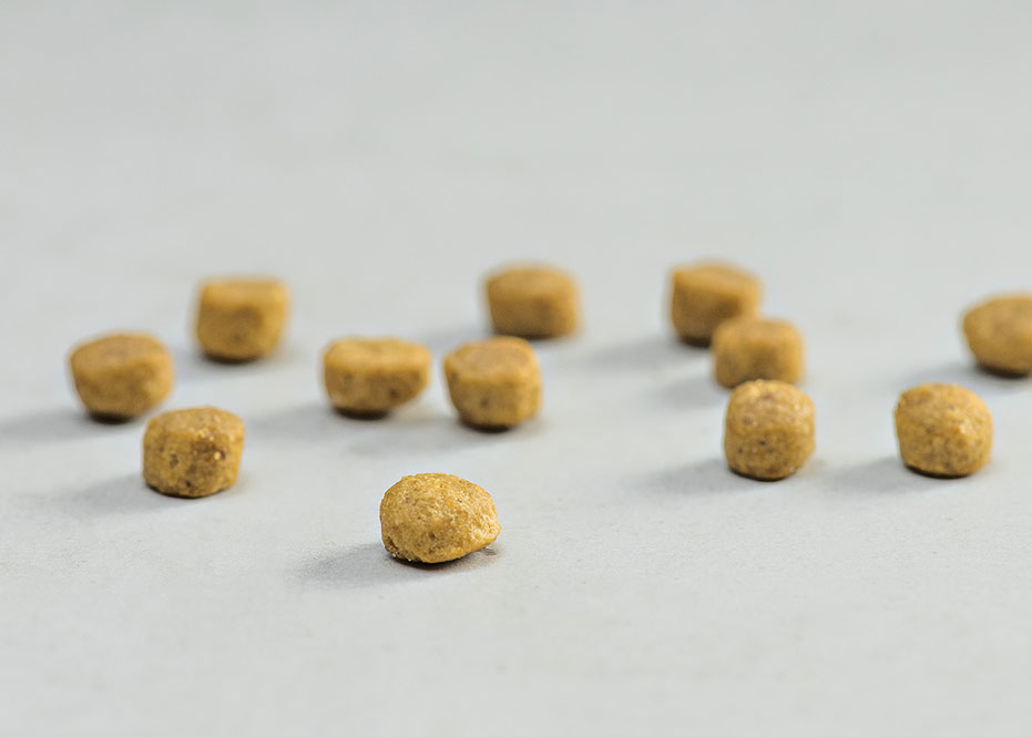 Prins Vitalcare Protection Indoor Ξηρά Τροφή Ενήλικης Γάτας 1.5kg