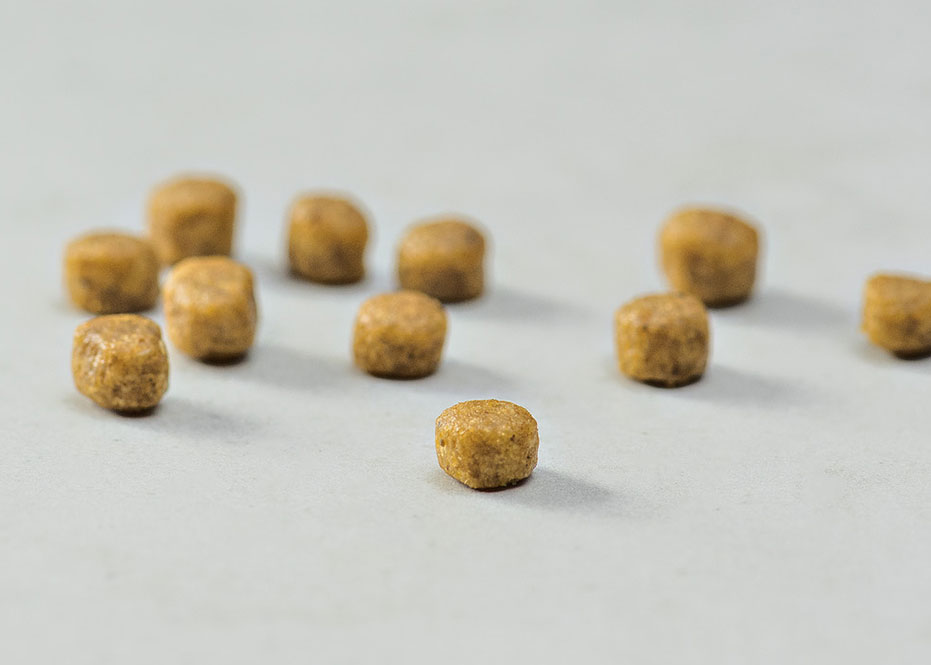 Prins Vitalcare Protection Kitten Ξηρά Τροφή για Γατάκια, Έγκυες 1.5kg