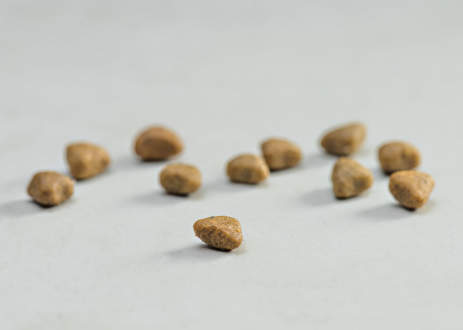 Prins Vitalcare Protection Sensible Grain Free Ξηρά Τροφή για Ενήλικες Γάτες 1.5kg