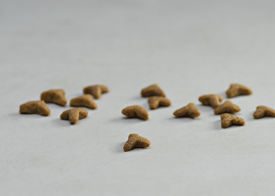 Prins Vitalcare Resist Calm Ξηρά Τροφή για Ενήλικες Γάτες 1.5kg