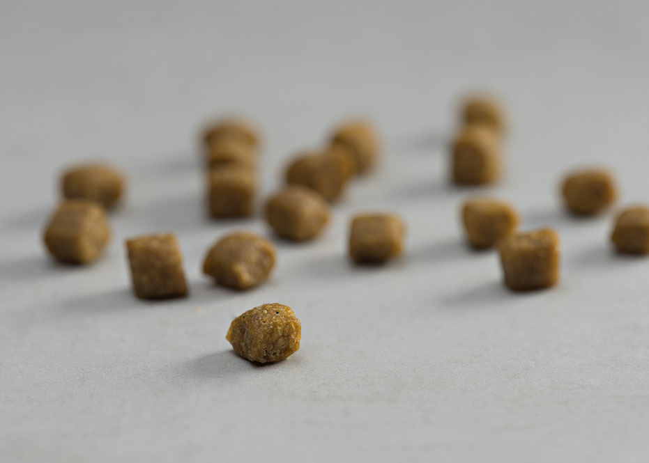 Prins Vitalcare Senior 12+ Ξηρά Τροφή Υπερήλικης Γάτας 1.5kg